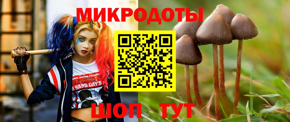 Галлюциногенные грибы Psilocybe Ухта